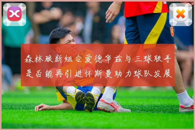 森林狼新组合爱德华兹与三球联手是否能再引进怀斯曼助力球队发展