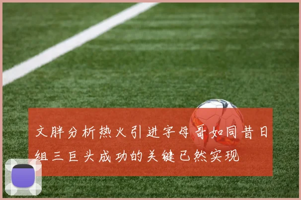 文胖分析热火引进字母哥如同昔日组三巨头成功的关键已然实现
