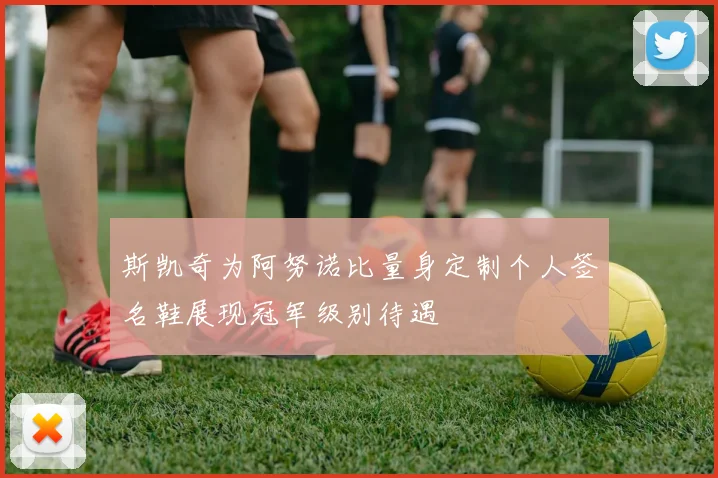 斯凯奇为阿努诺比量身定制个人签名鞋展现冠军级别待遇
