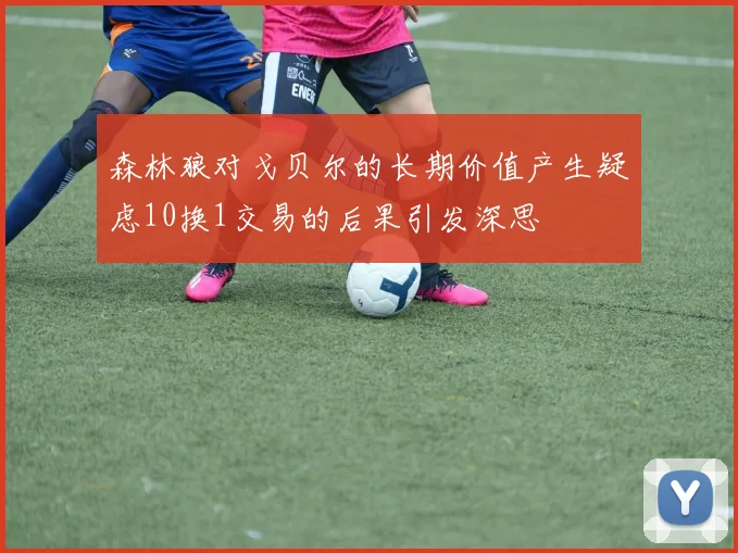 森林狼对戈贝尔的长期价值产生疑虑10换1交易的后果引发深思