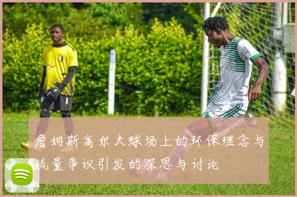 詹姆斯高尔夫球场上的环保理念与流量争议引发的深思与讨论