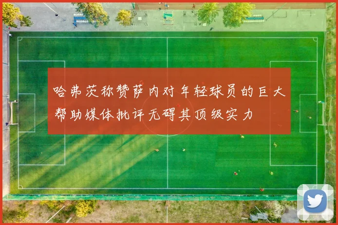 哈弗茨称赞萨内对年轻球员的巨大帮助媒体批评无碍其顶级实力